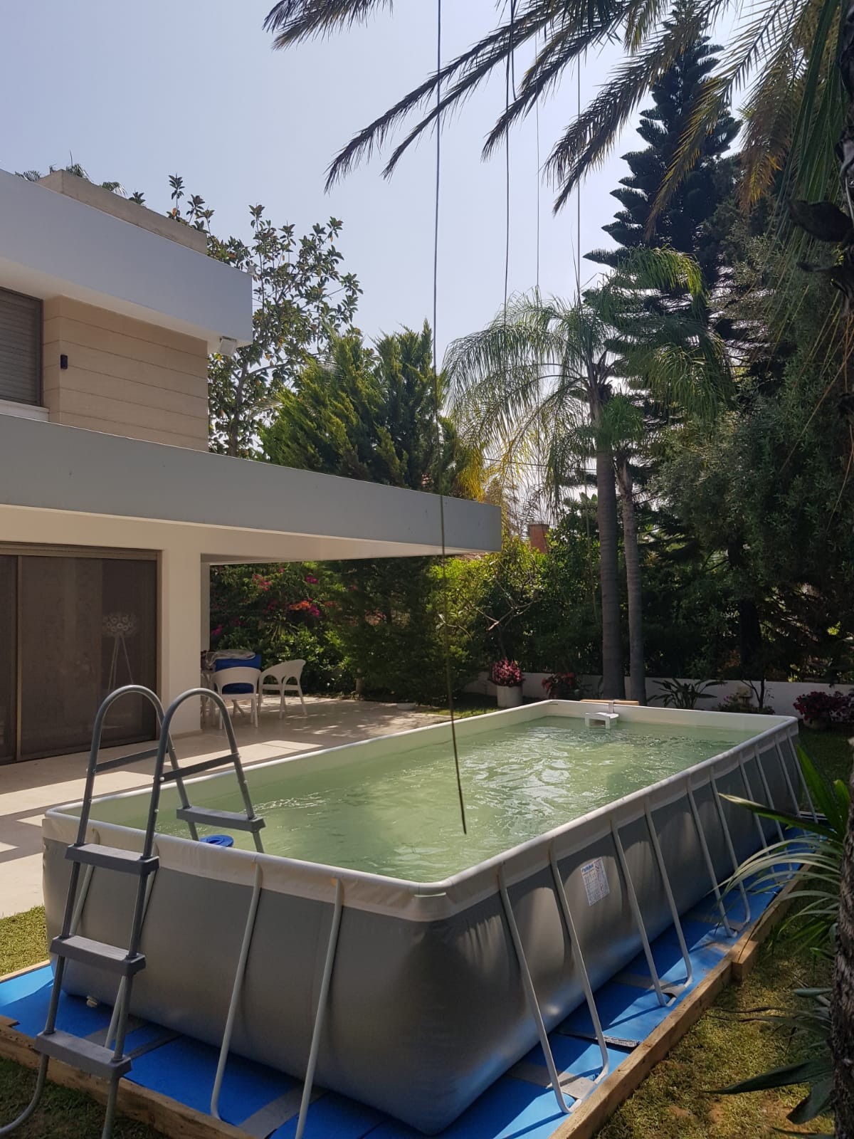 Avi Line Pool6