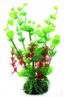צמחי מים צבעוניים תלויים  במים או נצמדים לקירות 